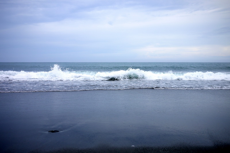 P1580648.jpg P1580648.jpg