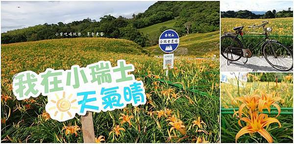 小瑞士農場金針花-首圖.jpg 小瑞士農場金針花-首圖.jpg