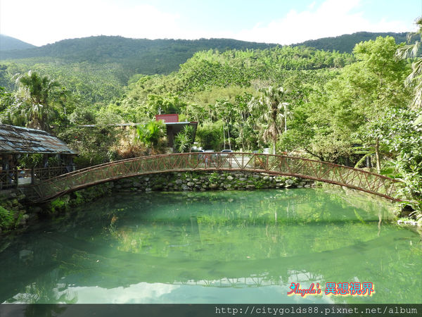 IMG_1256.JPG IMG_1256.JPG