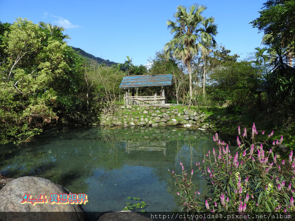 IMG_1265.JPG IMG_1265.JPG