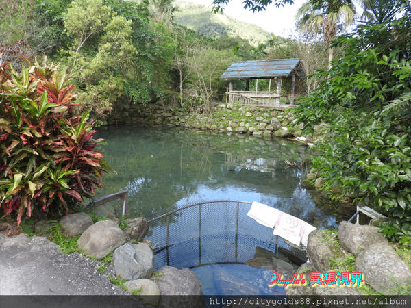 IMG_1261.JPG IMG_1261.JPG