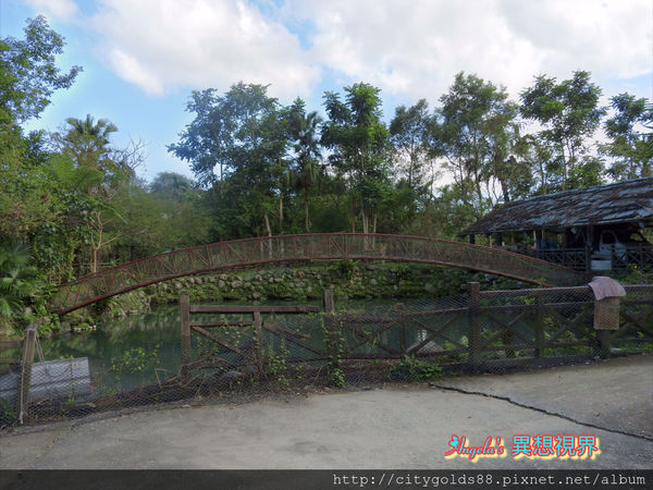 IMG_1263.JPG IMG_1263.JPG