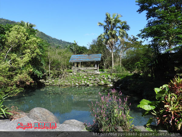 IMG_1309.JPG IMG_1309.JPG