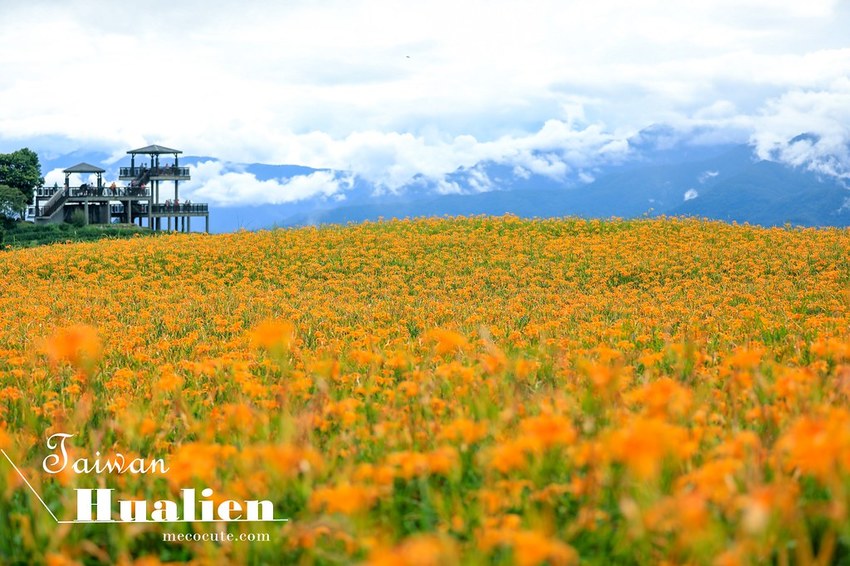 973花蓮縣吉安鄉花蓮縣吉安鄉慶豐十街195號,吉安美食慶豐麵店,宮前西村之家,宮前西村之家菜單,花蓮旅遊,花蓮滷肉飯,花蓮美食,花蓮西村的家菜單,西村的家,西村的家大滷麵,西村的家推薦,西村的家素食 @陳小可的吃喝玩樂