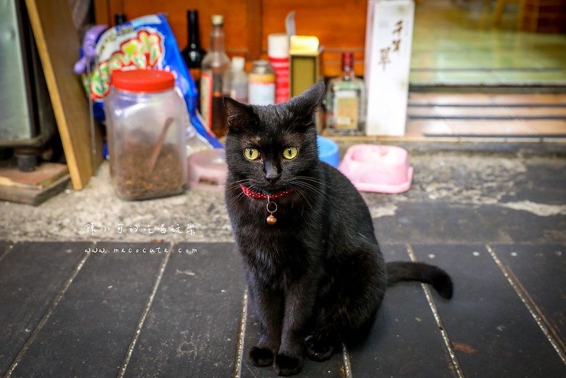 973花蓮縣吉安鄉花蓮縣吉安鄉慶豐十街195號,吉安美食慶豐麵店,宮前西村之家,宮前西村之家菜單,花蓮旅遊,花蓮滷肉飯,花蓮美食,花蓮西村的家菜單,西村的家,西村的家大滷麵,西村的家推薦,西村的家素食 @陳小可的吃喝玩樂