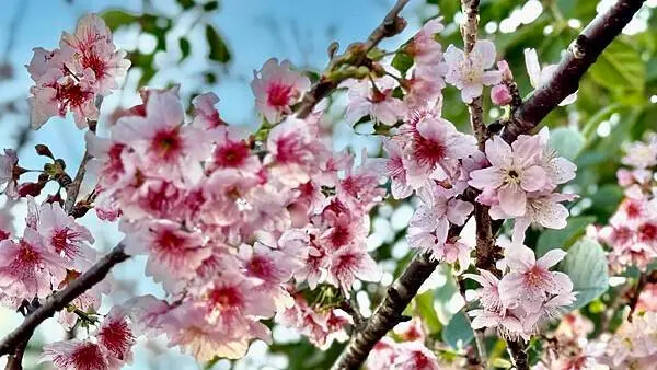 IMG_1057.jpg IMG_1057.jpg