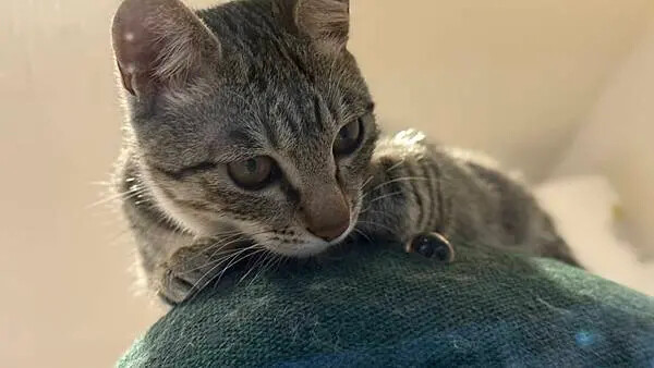 IMG_1090.jpg IMG_1090.jpg