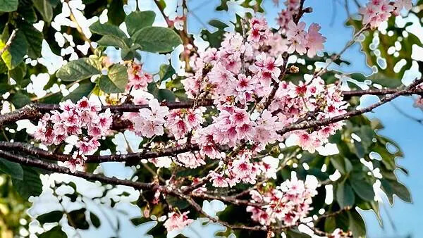 IMG_1061.jpg IMG_1061.jpg