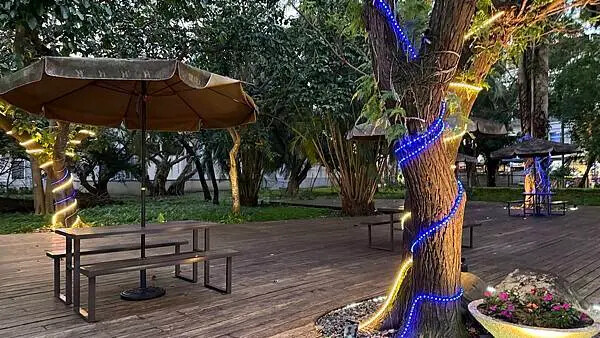 IMG_1099.jpg IMG_1099.jpg