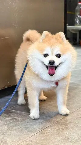 IMG_1072.jpg IMG_1072.jpg