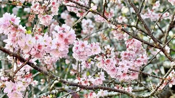 IMG_1063.jpg IMG_1063.jpg