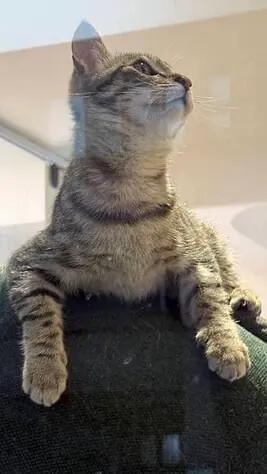 IMG_1092.jpg IMG_1092.jpg