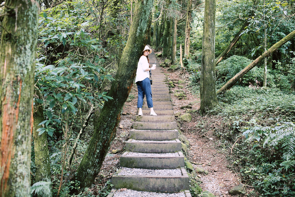 冷水坑的夏日氣息