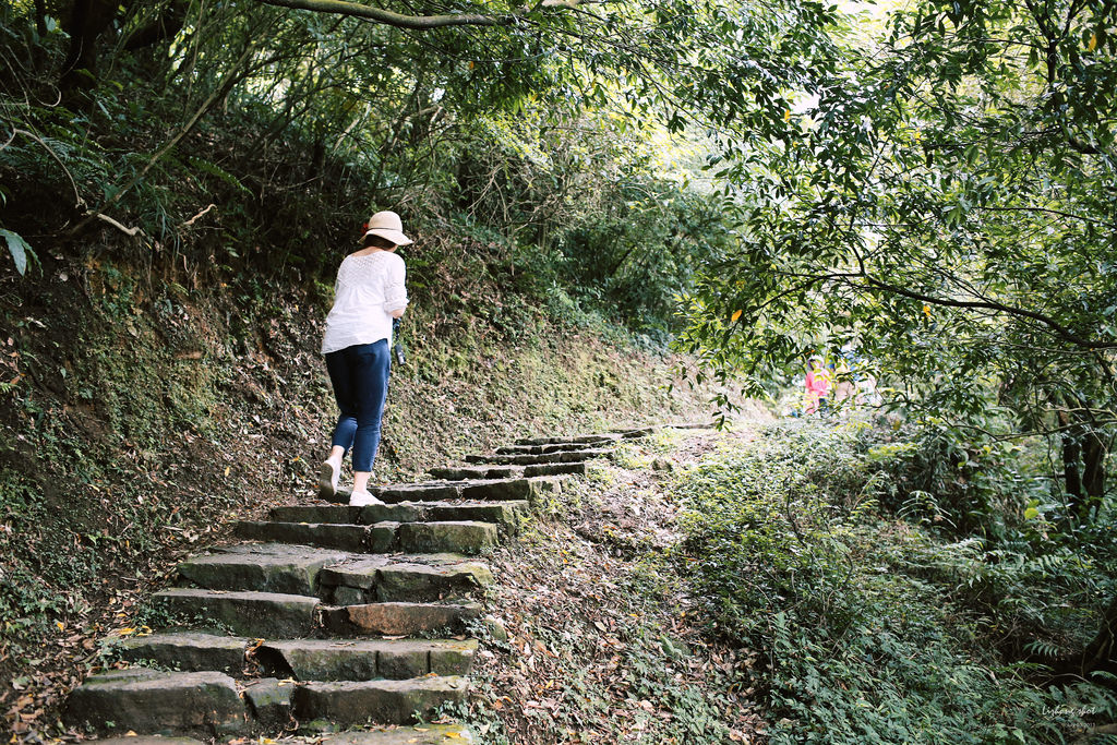 冷水坑的夏日氣息
