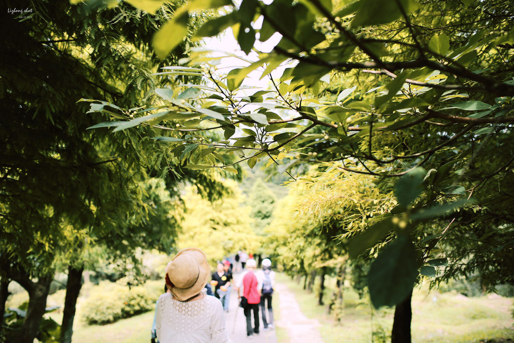 冷水坑的夏日氣息