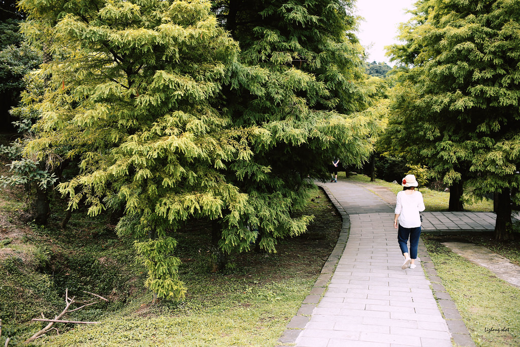 冷水坑的夏日氣息