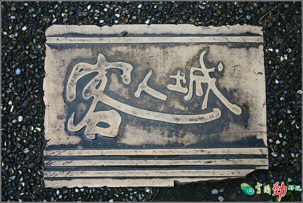 滷肉飯吃到飽！羅東必吃「客人城」無菜單料理，古早味美食吃回阿嬤的廚房。