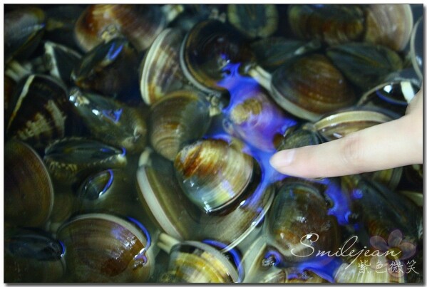 宜蘭壯圍【阿國海鮮】預約制無菜單海鮮餐廳 炭火黑糖桂圓粉圓明星最愛 宜蘭壯圍餐廳