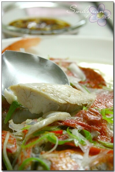 宜蘭壯圍【阿國海鮮】預約制無菜單海鮮餐廳 炭火黑糖桂圓粉圓明星最愛 宜蘭壯圍餐廳