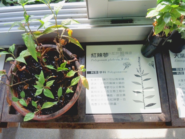 宜蘭員山)勝洋休閒農場 -來一趟宜蘭郊遊吧(下)