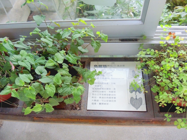 宜蘭員山)勝洋休閒農場 -來一趟宜蘭郊遊吧(下)