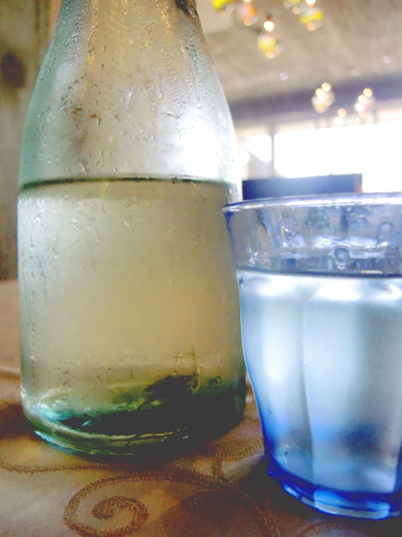 宜蘭員山)勝洋休閒農場 -來一趟宜蘭郊遊吧(下)