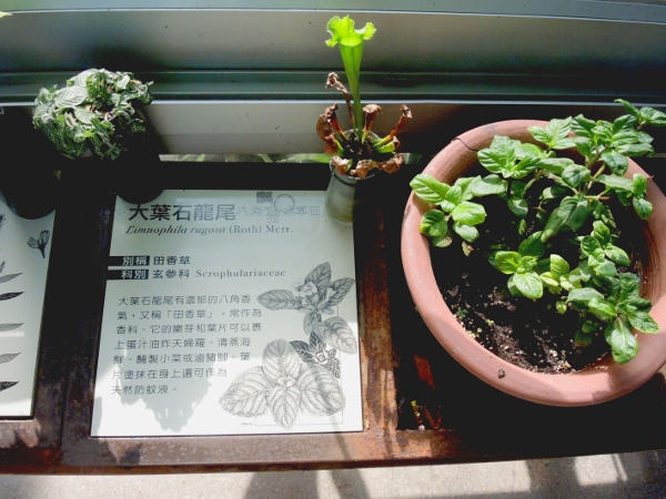 宜蘭員山)勝洋休閒農場 -來一趟宜蘭郊遊吧(下)