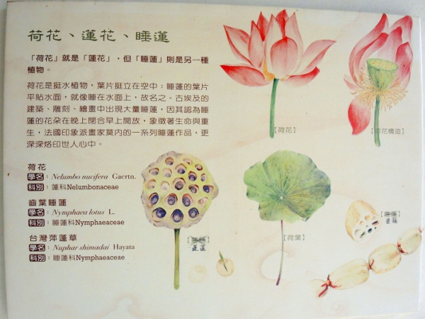 宜蘭員山)勝洋休閒農場 -來一趟宜蘭郊遊吧(下)