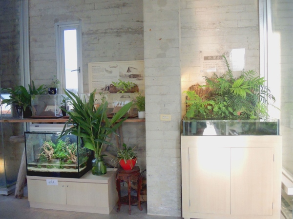 宜蘭員山)勝洋休閒農場 -來一趟宜蘭郊遊吧(下)