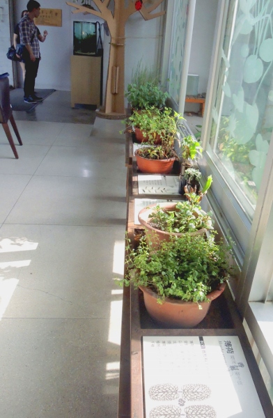 宜蘭員山)勝洋休閒農場 -來一趟宜蘭郊遊吧(下)