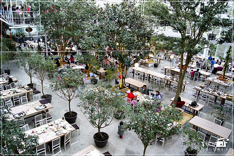 宜蘭旅遊 員山鄉 香草菲菲