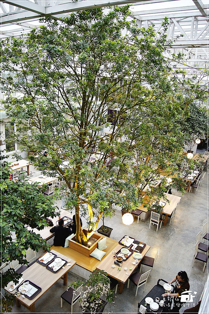 宜蘭旅遊 員山鄉 香草菲菲