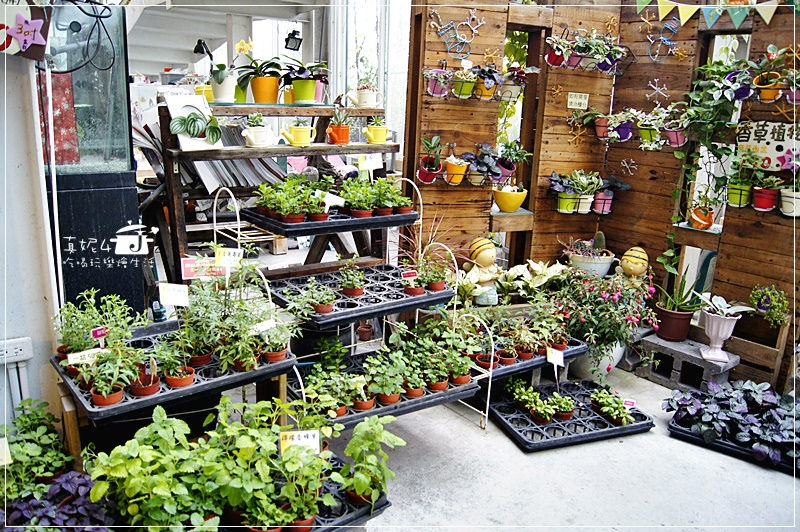 宜蘭旅遊 員山鄉 香草菲菲