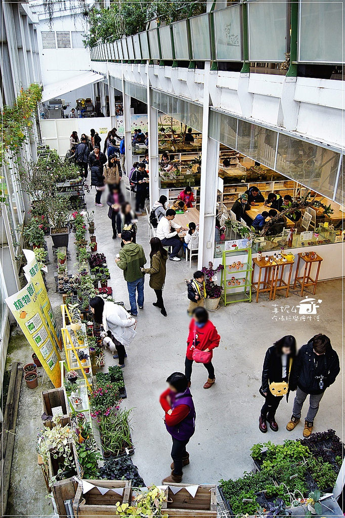 宜蘭旅遊 員山鄉 香草菲菲