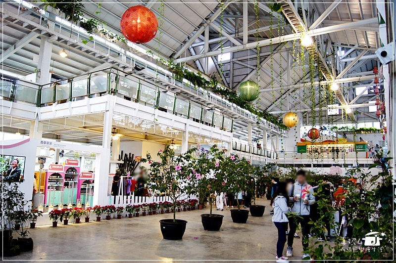 宜蘭旅遊 員山鄉 香草菲菲