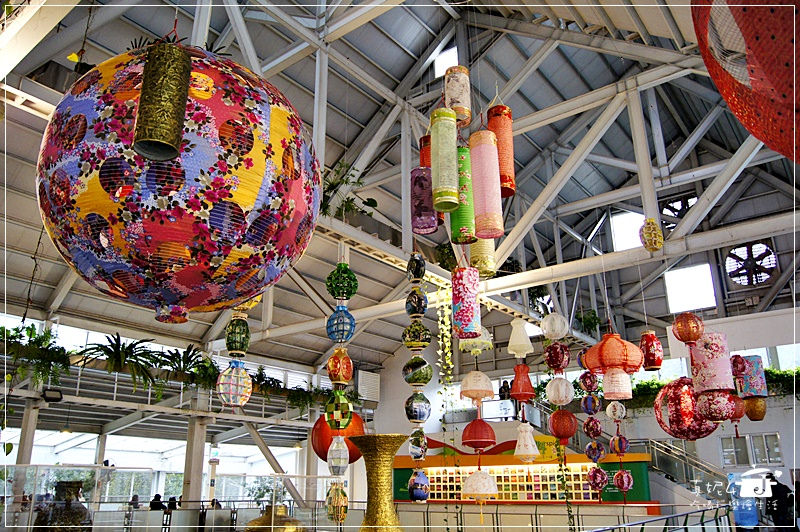 宜蘭旅遊 員山鄉 香草菲菲