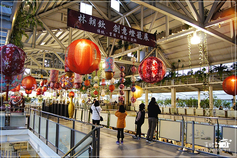 宜蘭旅遊 員山鄉 香草菲菲