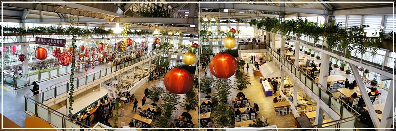 宜蘭旅遊 員山鄉 香草菲菲