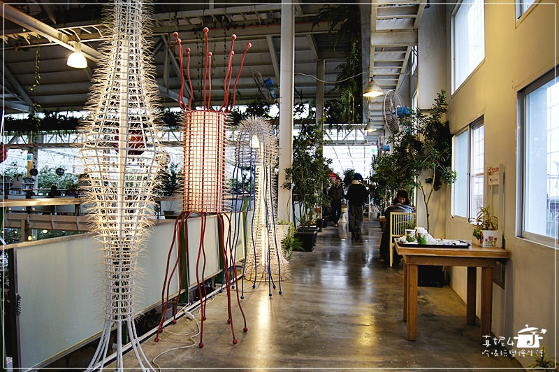 宜蘭旅遊 員山鄉 香草菲菲