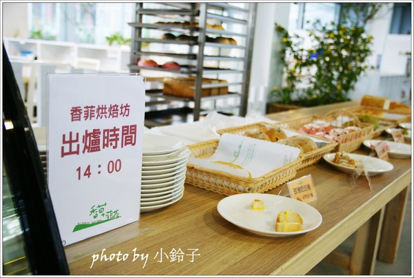 香草菲菲芳香植物博物館：宜蘭員山「香草菲菲」超大室內植物園