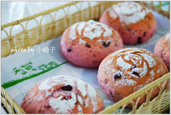 香草菲菲芳香植物博物館：宜蘭員山「香草菲菲」超大室內植物園