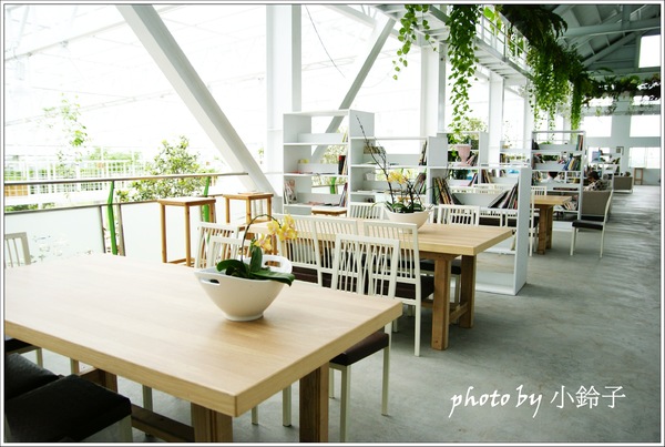 香草菲菲芳香植物博物館：宜蘭員山「香草菲菲」超大室內植物園