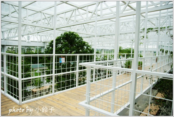 香草菲菲芳香植物博物館：宜蘭員山「香草菲菲」超大室內植物園