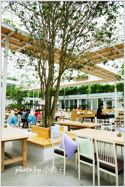 香草菲菲芳香植物博物館：宜蘭員山「香草菲菲」超大室內植物園