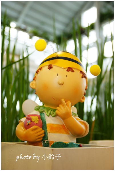 香草菲菲芳香植物博物館：宜蘭員山「香草菲菲」超大室內植物園