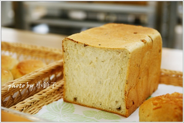 香草菲菲芳香植物博物館：宜蘭員山「香草菲菲」超大室內植物園