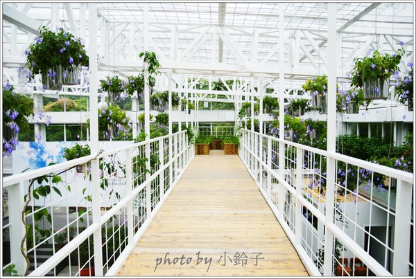 香草菲菲芳香植物博物館：宜蘭員山「香草菲菲」超大室內植物園