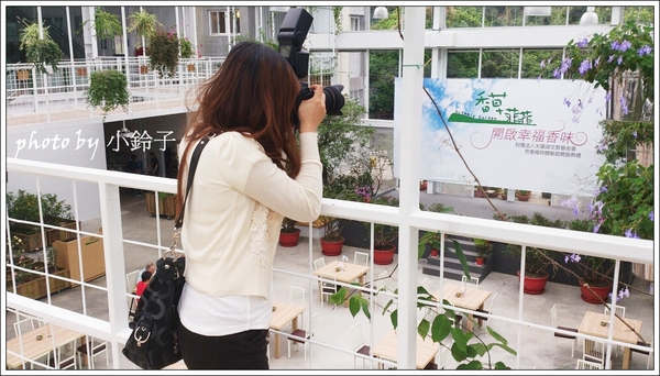 香草菲菲芳香植物博物館：宜蘭員山「香草菲菲」超大室內植物園