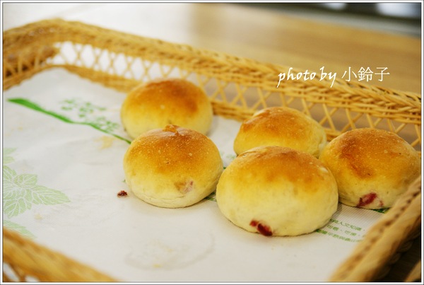 香草菲菲芳香植物博物館：宜蘭員山「香草菲菲」超大室內植物園