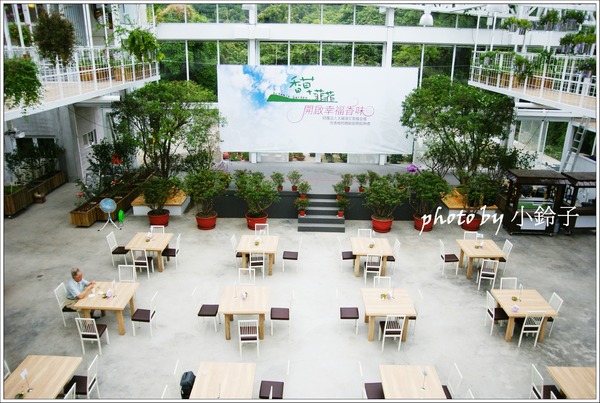 香草菲菲芳香植物博物館：宜蘭員山「香草菲菲」超大室內植物園